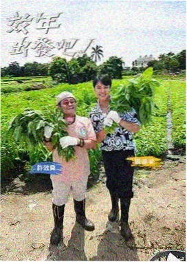 金牌影院在线美食侦探